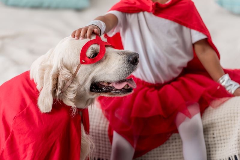 Child and golden retriever dressed as matching superheroes